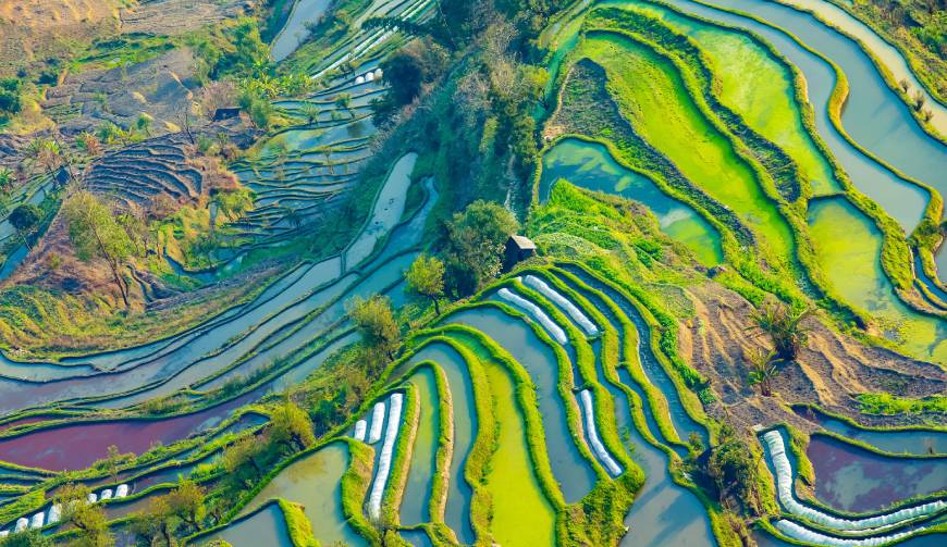 宝妈必备神器：陵县产品视频拍摄轻松育儿好帮手