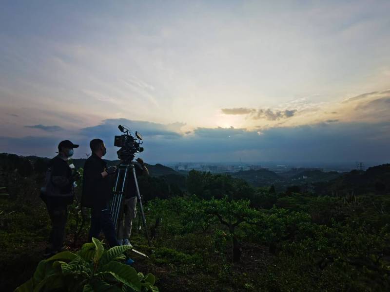 聚焦陵县产品宣传视频拍摄公司，用专业实力铸就品牌传播传奇